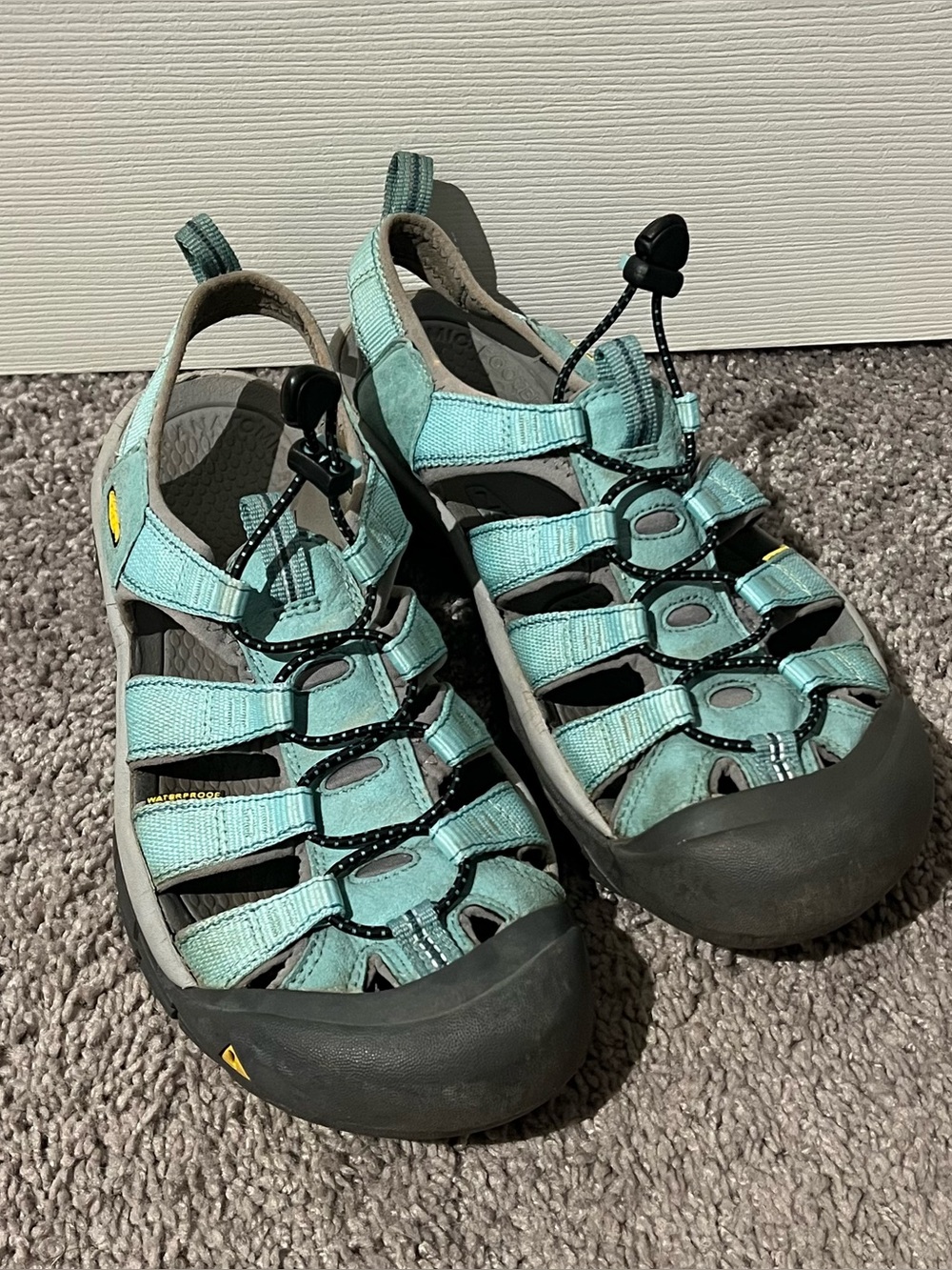 Keen Newport H2 Sandals